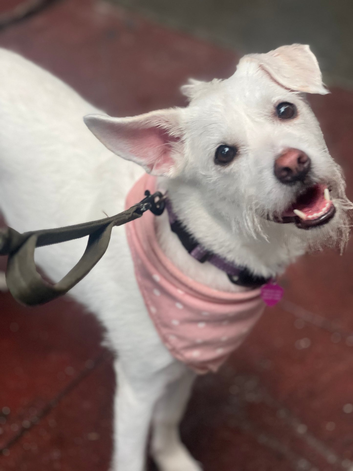 Not a 9 to 5 Day 10 Pack