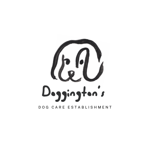 Doggington’s Dog Care Establishment 